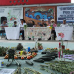 Pronunciamiento: Encuentro de Pueblos contra el Extractivismo