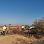 Unión Hidalgo en alerta: Tren Interoceánico ha derribado más de 9 mil árboloes endémicos a su paso