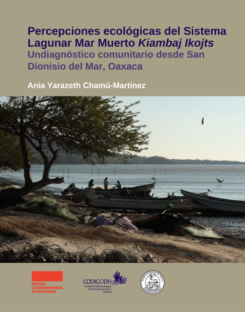 Portada del diagnóstico con fotografía de una mar, árboles, lanchas, redes de pesca y hombres preparándose para pescar.