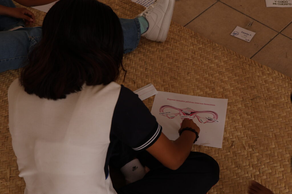 Adolescente colocando nombres de órganos sexuales pélvicos externos en una hoja de papel.